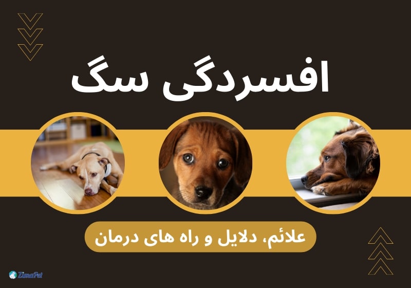 افسردگی سگ
